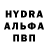 ГЕРОИН хмурый Belka Bober