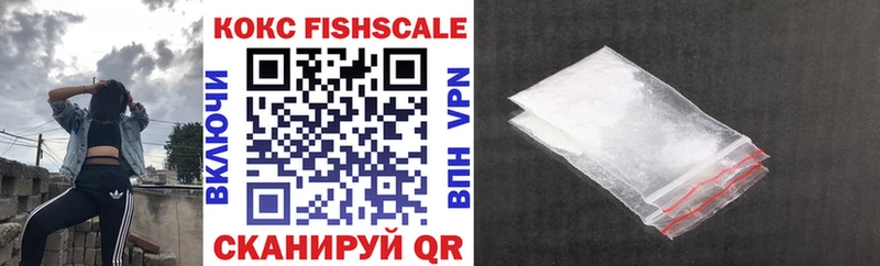 КОКАИН FishScale  Купить закладки  Завитинск 