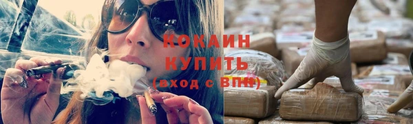 мдпв Дмитриев