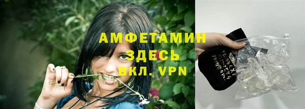 мдпв Дмитриев