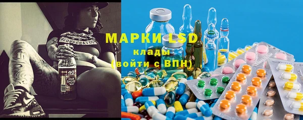мдпв Дмитриев