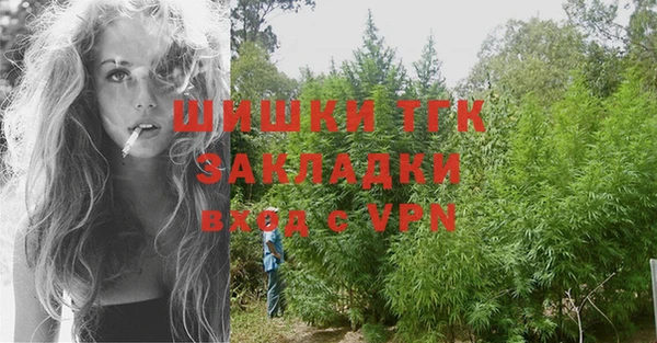 мдпв Дмитриев