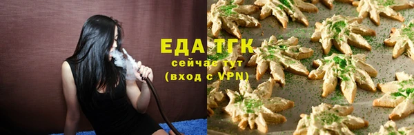 мдпв Дмитриев