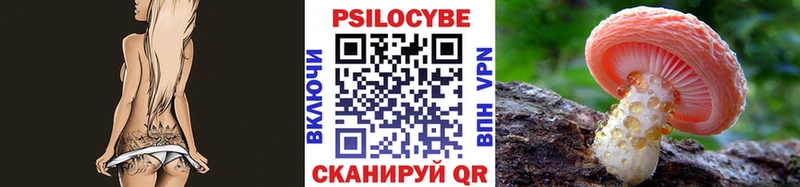 Галлюциногенные грибы MAGIC MUSHROOMS  Купить закладки  Завитинск 